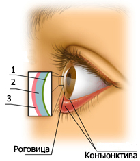 Слезная пленка, синдром сухого глаза